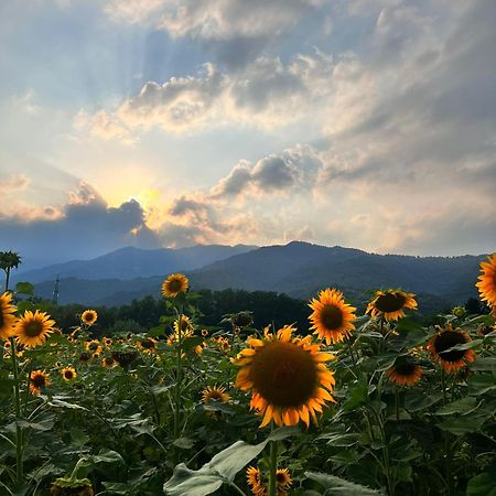 Locanda Alla Posta 카바소델톰바 외부 사진